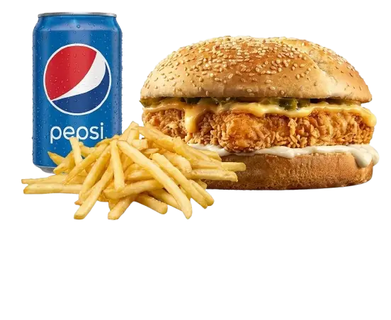 Chicken Burger Combo